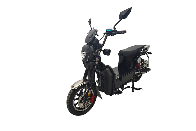 1500W Electric Fashion Motorcycle-Style Electric Bicycle