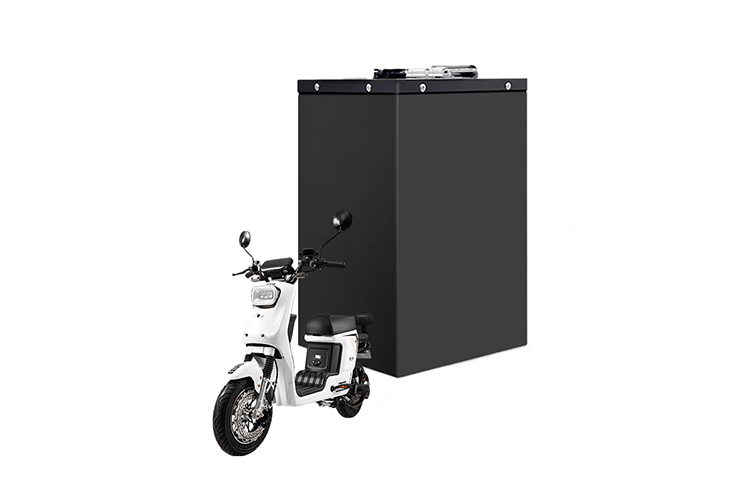 The lithium iron phosphate battery (LiFePO4 battery) 