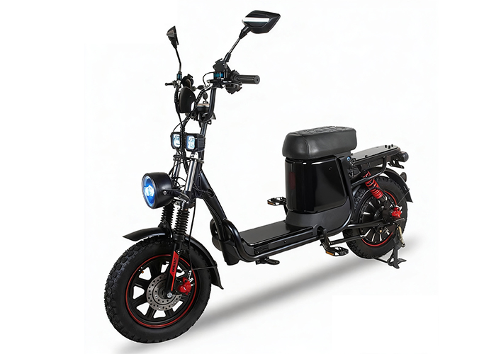 16 inch Monster Titian2.0 Ebike - customized